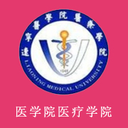 遼寧醫(yī)學院醫(yī)療學院