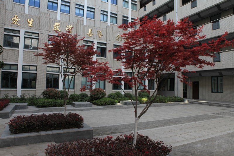 南京衛(wèi)生高等職業(yè)技術(shù)學(xué)校怎么樣、好不好
