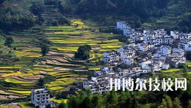 江西婺源茶葉學校2020年報名條件、招生要求、招生對象
