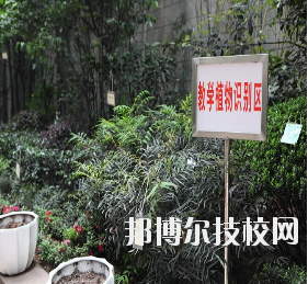 重慶風景園林技工學校怎么樣、好不好