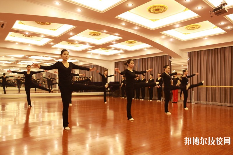滄州職業(yè)技術(shù)學(xué)院2020年報(bào)名條件、招生要求、招生對象
