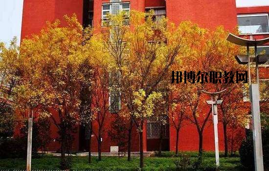 鶴峰職業(yè)技術(shù)學(xué)校2020年報名條件、招生要求、招生對象