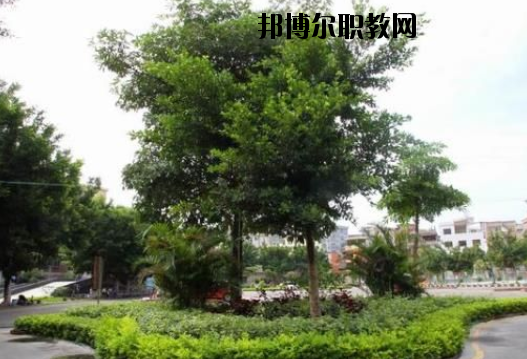 羅定中等職業(yè)技術(shù)學(xué)校2020年報名條件、招生要求、招生對象