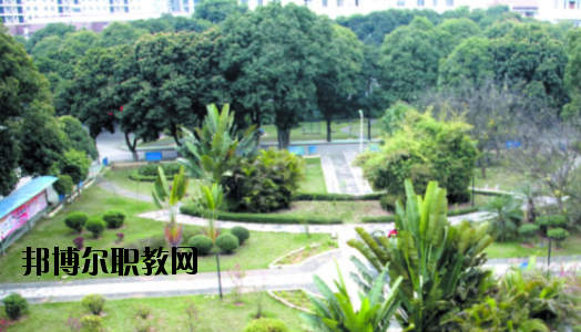 廣西百色農(nóng)業(yè)學(xué)校2020年報(bào)名條件、招生要求、招生對(duì)象 