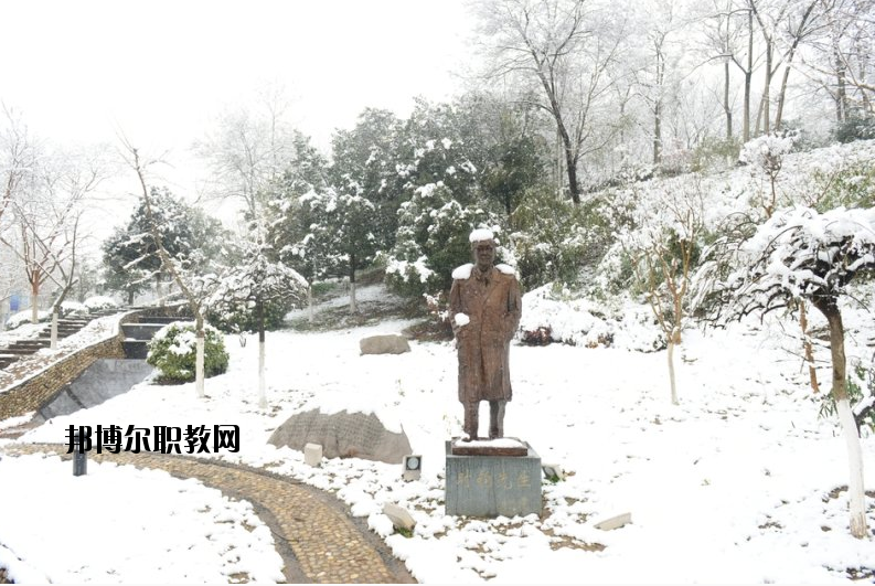 南京工業(yè)大學(xué)2020年報名條件、招生要求、招生對象