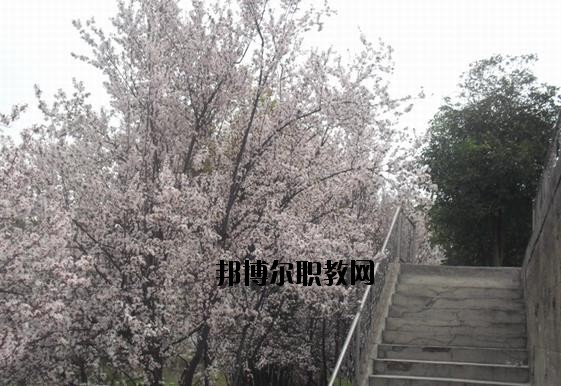 保康職教中心學校網(wǎng)址網(wǎng)站