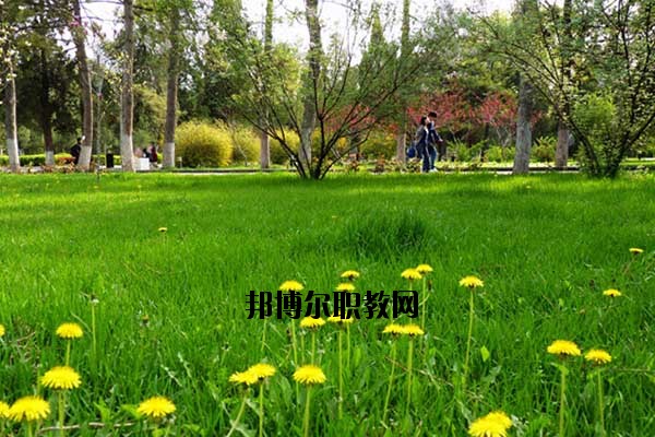 雙江縣職教中心2020年報(bào)名條件、招生要求、招生對(duì)象
