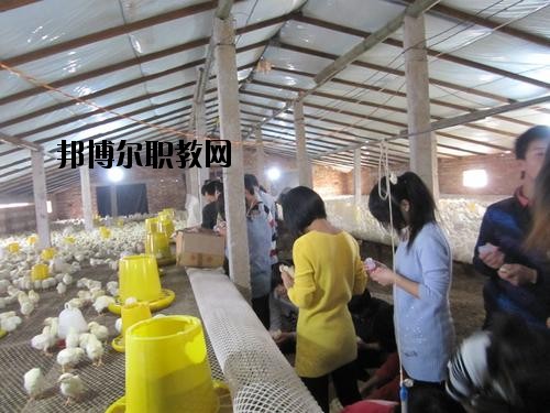 通許中等職業(yè)學(xué)校2021年學(xué)費(fèi)、收費(fèi)多少