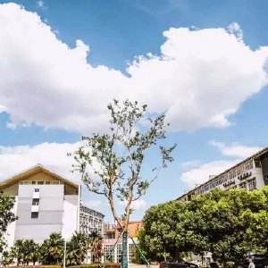 南京科技職業(yè)學院怎么樣、好不好