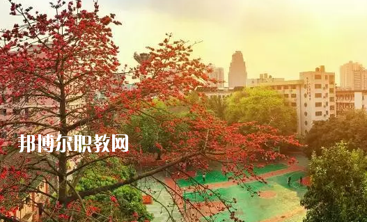 廣東省商業(yè)職業(yè)技術(shù)學(xué)校怎么樣、好不好