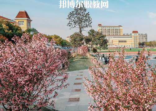 南京高等職業(yè)技術(shù)學(xué)校2022年報名條件、招生要求、招生對象