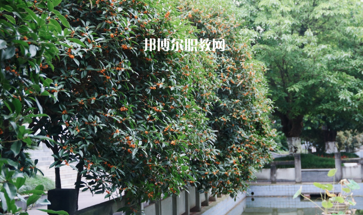 德陽(yáng)通用電子科技學(xué)校怎么樣、好不好