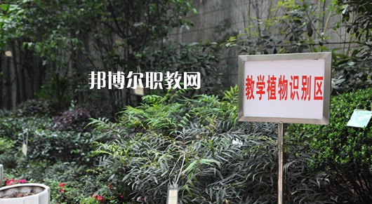 重慶風(fēng)景園林技工學(xué)校2022年學(xué)費(fèi)、收費(fèi)多少