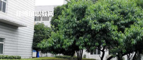 成都市中山職業(yè)技術(shù)學(xué)校2022年報(bào)名條件、招生要求、招生對(duì)象