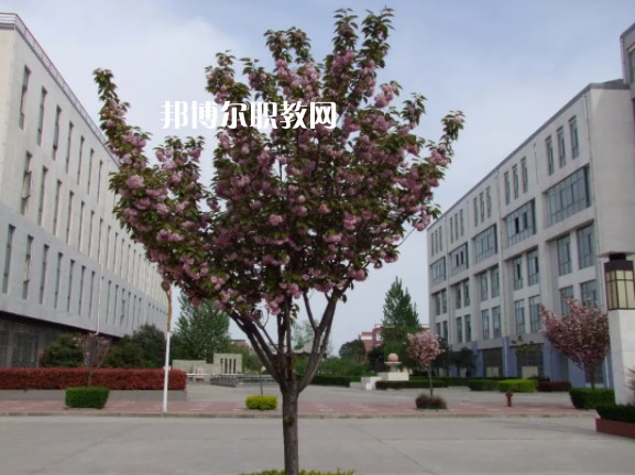陳倉(cāng)區(qū)職業(yè)教育中心2022年報(bào)名條件、招生要求、招生對(duì)象