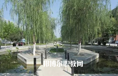 滄州市職業(yè)技術教育中心2022年招生錄取分數線