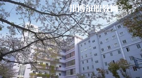 武漢體育舞蹈藝術(shù)學(xué)校2022年怎么樣、好不好