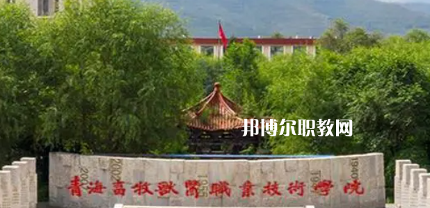 青海高職?？拼髮W2023年排名(文科)