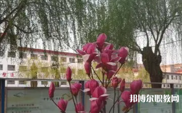 2023柏鄉(xiāng)縣職教中心招生計(jì)劃 招生人數(shù)是多少(附要求、條件、對(duì)象)