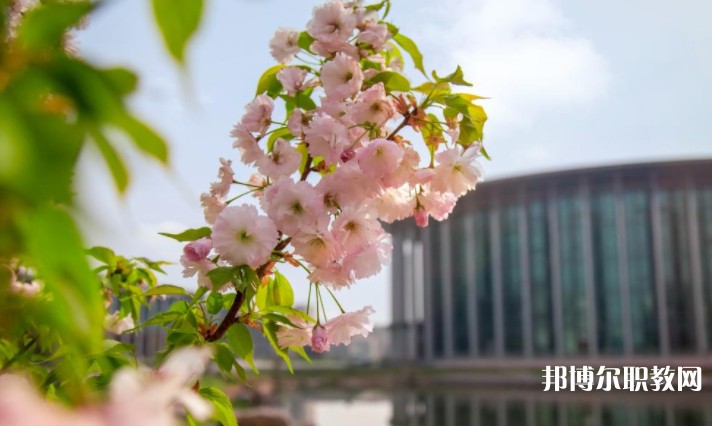 河南藝術職業(yè)學院中專部怎么樣、好不好