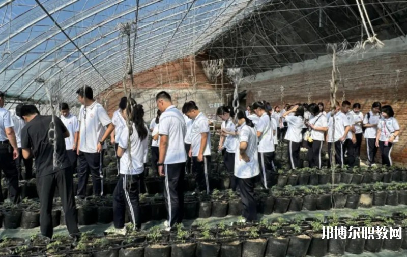 2024營口市農(nóng)業(yè)工程學(xué)校招生計(jì)劃 招生人數(shù)是多少(附要求、條件、對象)