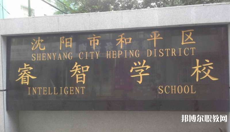 沈陽市和平區(qū)睿智學校怎么樣、好不好